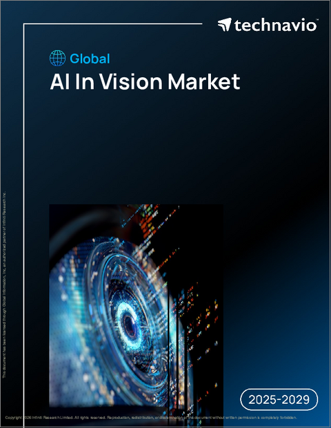 表紙：世界のAIビジョン市場（2025年～2029年）