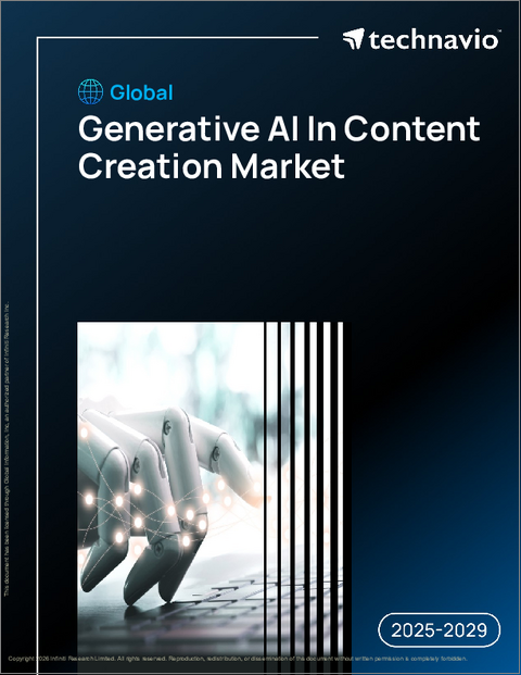 表紙：コンテンツ生成における生成AIの世界市場、2025年～2029年