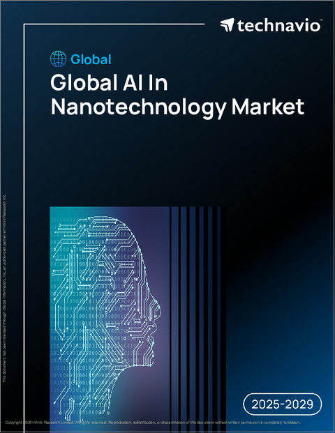 表紙:世界のナノテクノロジーにおける人工知能(AI)市場2025-2029年