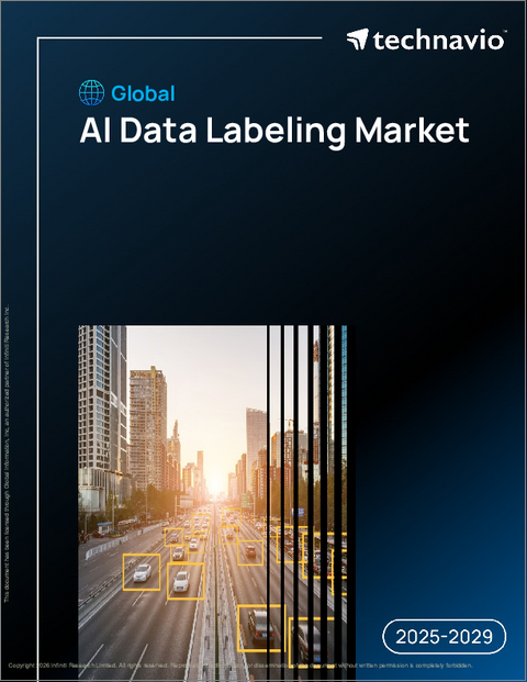 表紙：世界のAIデータラベリング市場2025-2029年