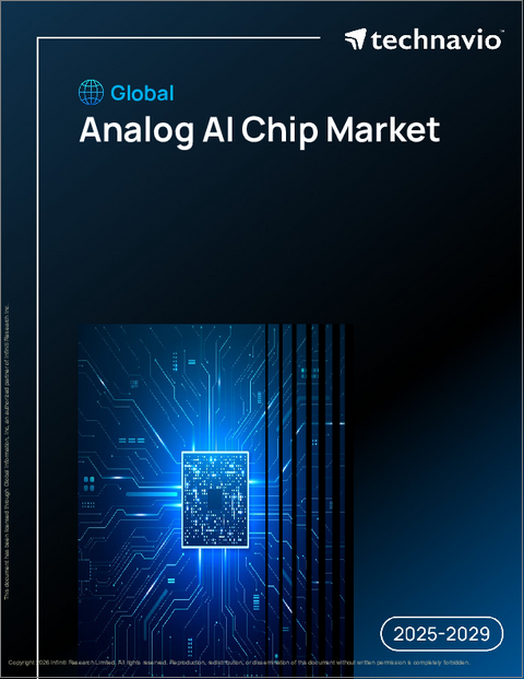 表紙：世界のアナログAIチップ市場2025-2029年