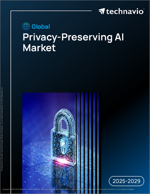 表紙:世界のプライバシー保護型AI市場2025-2029年