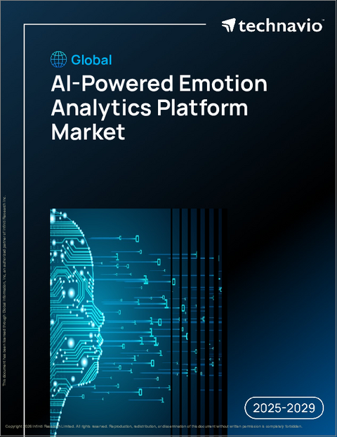 表紙:世界のAI搭載感情分析プラットフォーム市場2025-2029年