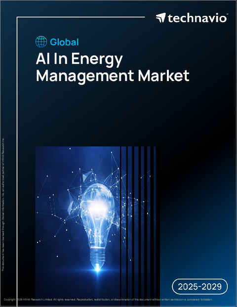 表紙：エネルギー管理におけるAIの世界市場、2025年～2029年