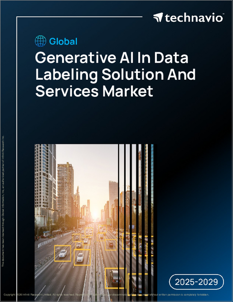 表紙:世界の生成AIを活用したデータラベリングソリューションおよびサービス市場2025-2029年