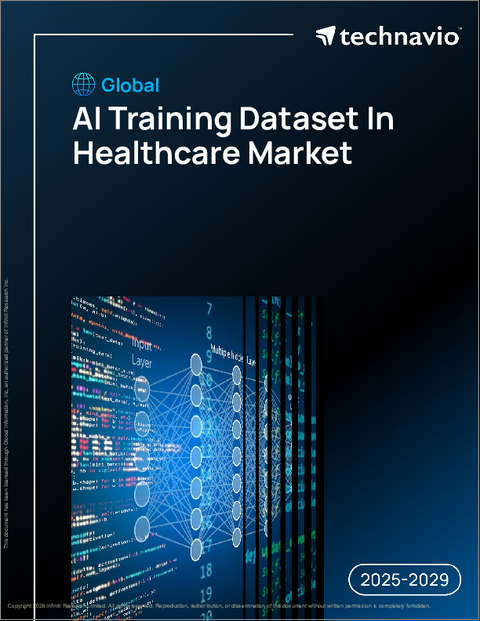 表紙：ヘルスケアにおけるAIトレーニングデータセットの世界市場、2025年～2029年