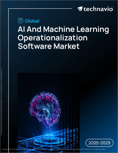 表紙:世界のAIおよび機械学習運用化ソフトウェア市場2025-2029年