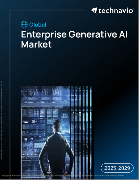 表紙：エンタープライズ生成AIの世界市場、2025年～2029年