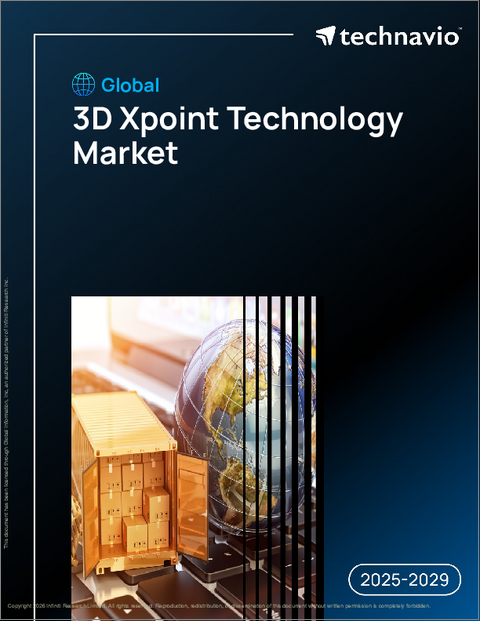 表紙：世界の3D Xpointテクノロジー市場2025-2029年