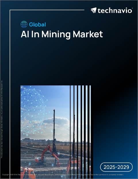 表紙：世界の鉱業向け人工知能市場2025-2029年