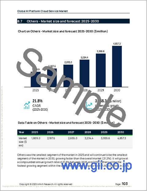 サンプル2：世界のAIプラットフォームクラウドサービス市場2026-2030年