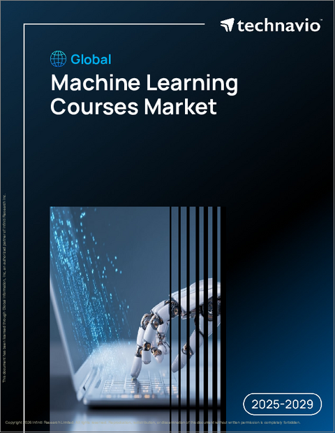 表紙：世界の機械学習コース市場2025-2029年