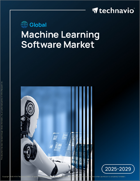 表紙：世界の機械学習ソフトウェア市場2025-2029年