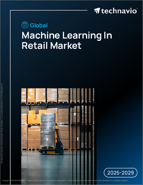 表紙：世界の小売市場における機械学習の動向2025-2029年