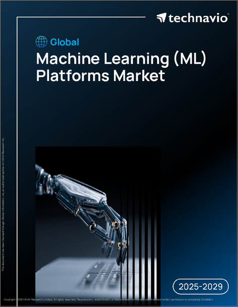 表紙：世界の機械学習（ML）プラットフォーム市場2025-2029年