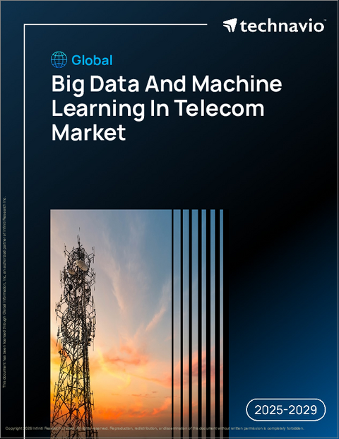 表紙：世界の通信市場におけるビッグデータと機械学習の動向（2025-2029年）