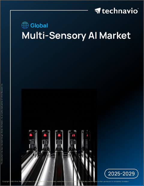 表紙：世界の多感覚AI市場2025-2029年