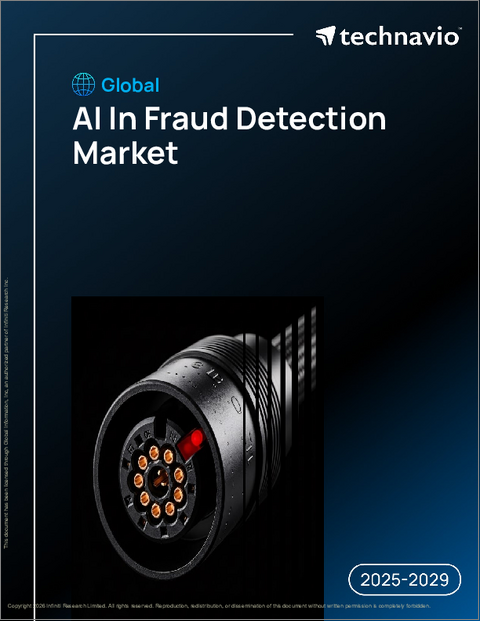 表紙：世界のAI不正検知市場2025-2029年