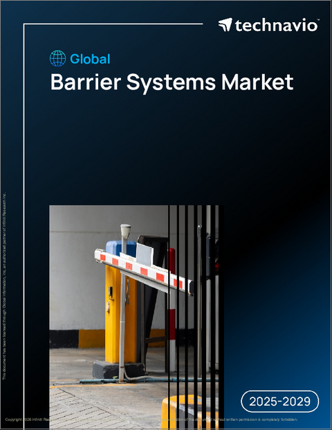 表紙：世界のバリアシステム市場2025-2029年
