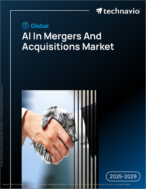 表紙：世界のAI M&A市場2025-2029年