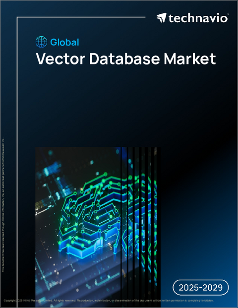 表紙:世界のベクターデータベース市場2025-2029年