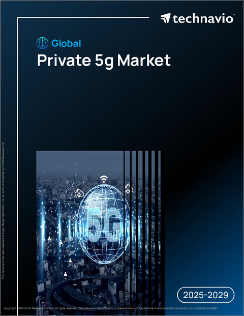 表紙：プライベート5Gの世界市場、2025年～2029年