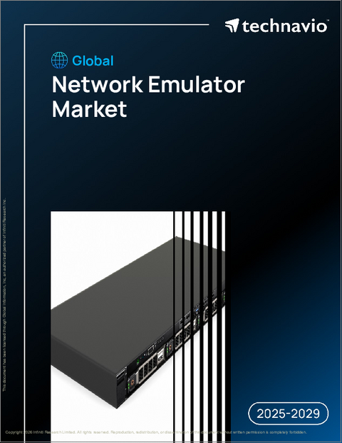 表紙：世界のネットワークエミュレータ市場2025-2029年