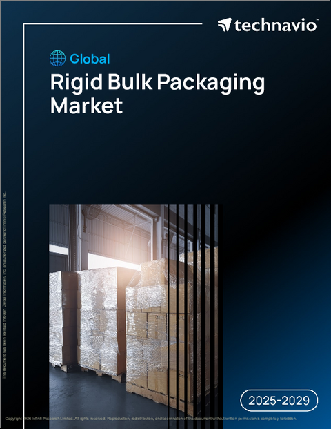 表紙:世界の硬質バルク包装市場2025-2029年