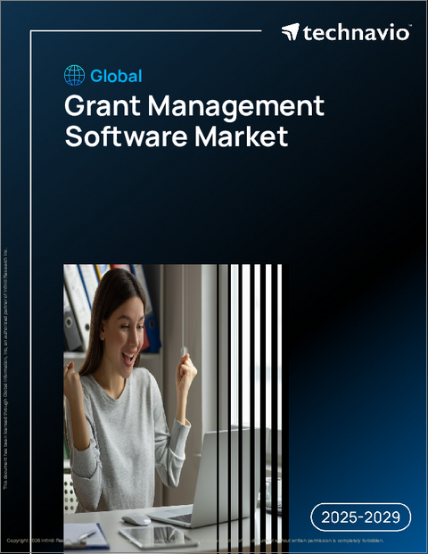 表紙：世界の補助金管理ソフトウェア市場2025-2029年