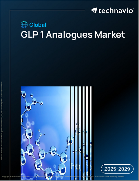 表紙：世界のGLP-1アナログ市場2025-2029年