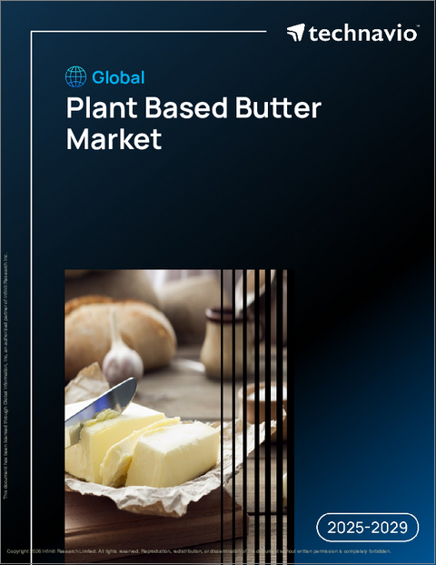 表紙：世界の植物性バター市場2025-2029年