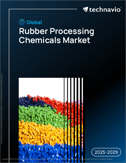 表紙:世界のゴム加工用化学品市場2025-2029年