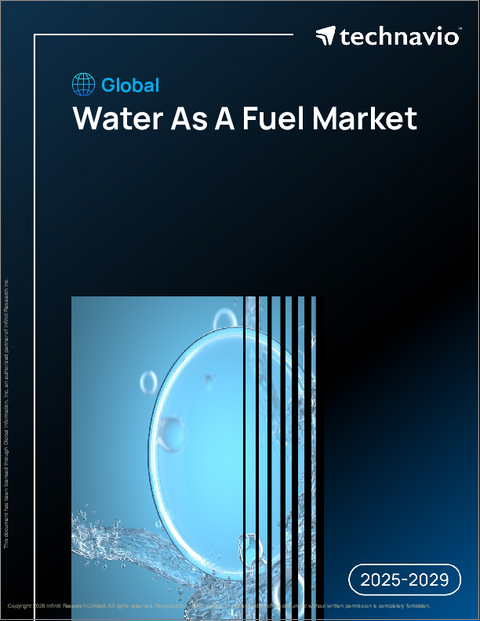 表紙:燃料としての水(Water As A Fuel)の世界市場 2025-2029年
