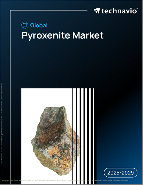 表紙:世界のパイロクセン岩市場2025-2029年