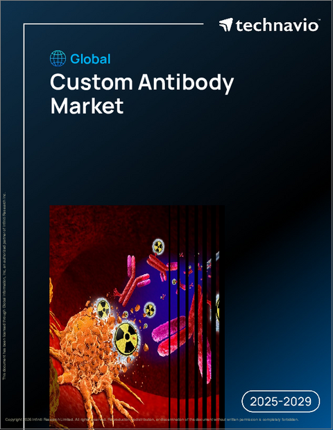 表紙:世界のカスタム抗体市場2025-2029年