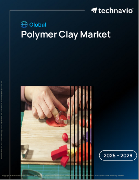 表紙:ポリマークレイの世界市場、2025年~2029年