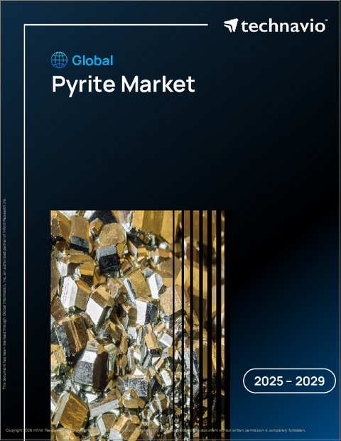 表紙:世界の黄鉄鉱市場2025-2029年