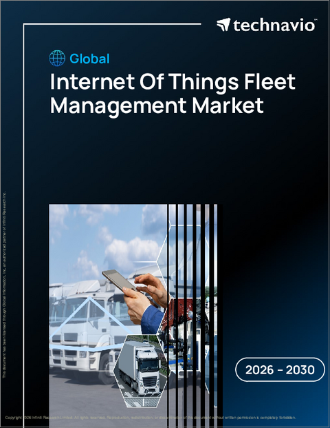 表紙：世界のIoTフリート管理市場2026-2030年