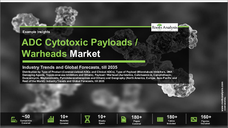 表紙：ADC細胞毒性ペイロードおよび弾頭市場（第2版）：市場：2035年までの動向と予測 - 製品タイプ別、ペイロードタイプ別、ペイロード/弾頭サブカテゴリー別、および地域別