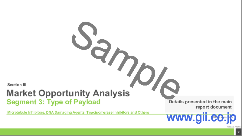 サンプル1：ADC細胞毒性ペイロードおよび弾頭市場（第2版）：市場：2035年までの動向と予測 - 製品タイプ別、ペイロードタイプ別、ペイロード/弾頭サブカテゴリー別、および地域別