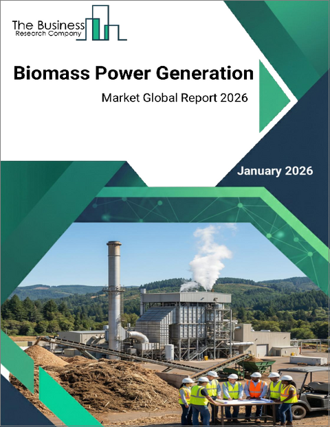 表紙:バイオマス発電の世界市場レポート2026
