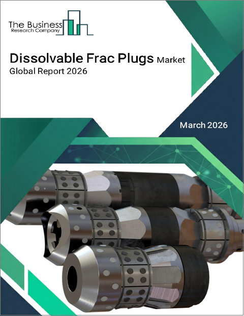表紙：溶解性フラックプラグの世界市場レポート2026年