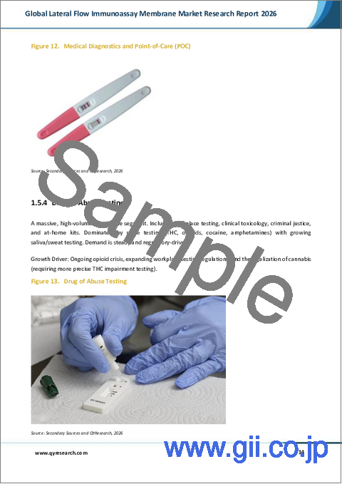 サンプル1:世界の横流免疫測定膜市場調査レポート2026