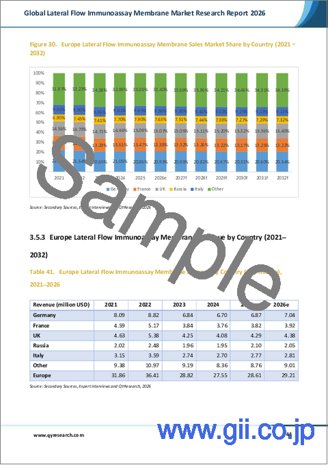 サンプル2:世界の横流免疫測定膜市場調査レポート2026