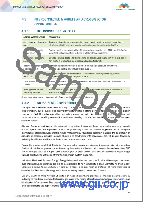 サンプル1：バイオメタンの世界市場：原料別、製造プロセス別、最終用途別、地域別 - 2030年までの予測