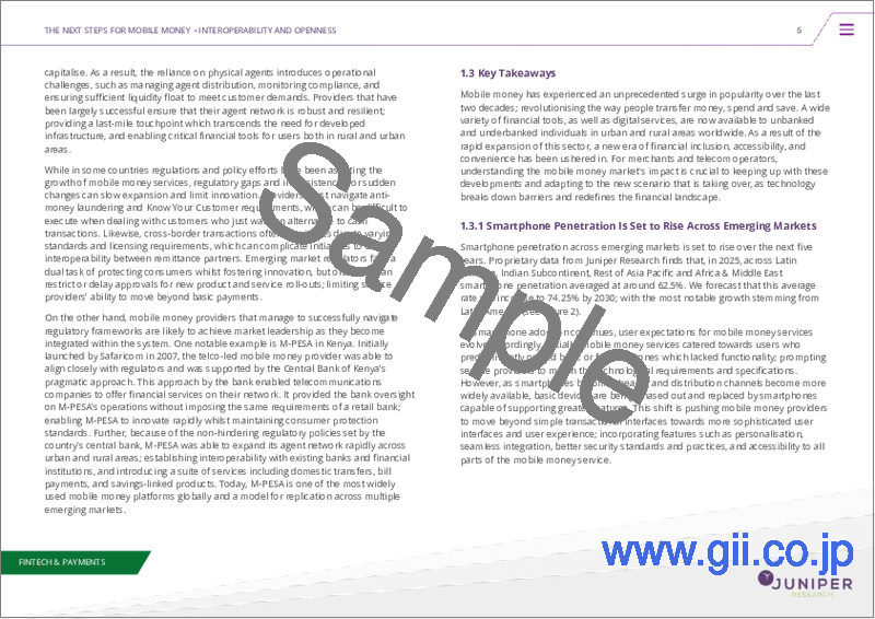 サンプル2：新興市場におけるモバイルマネー：2026～2030年