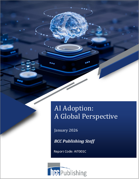 表紙:AIの導入:世界的展望