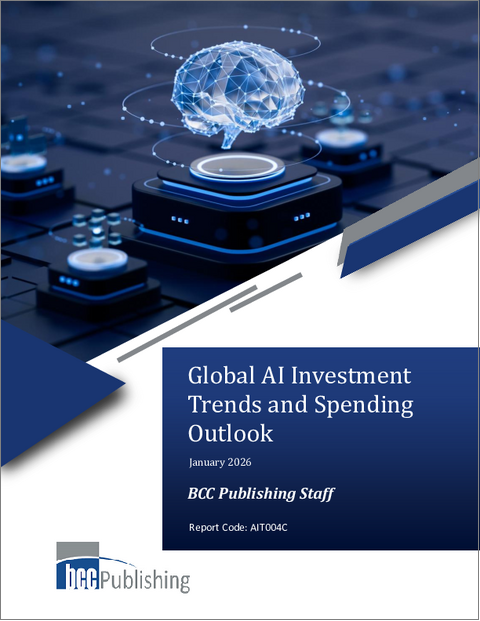 表紙：世界のAI投資動向と支出見通し