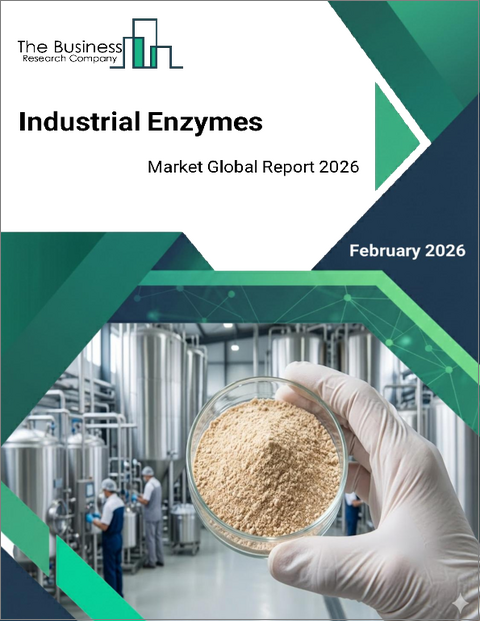 表紙：産業用酵素の世界市場レポート2026