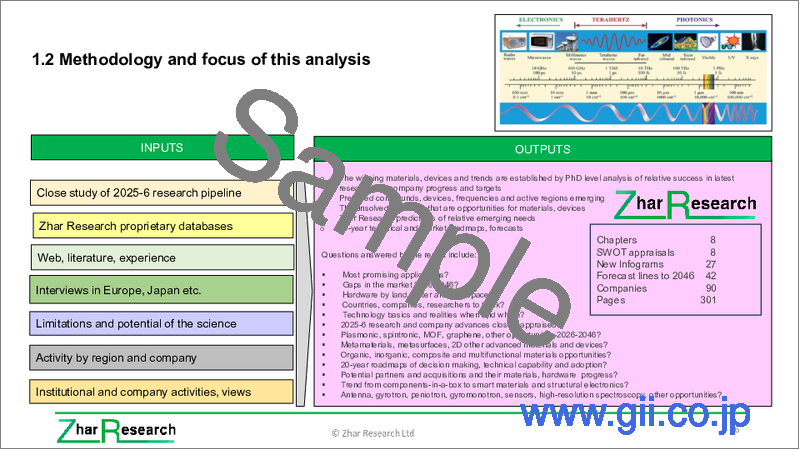 サンプル1：テラヘルツの事業機会：エネルギー、医療、セキュリティ、通信、その他の市場、技術 (2026-2046年)